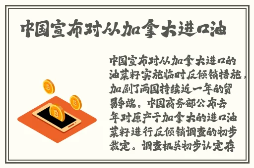 欧美**视频